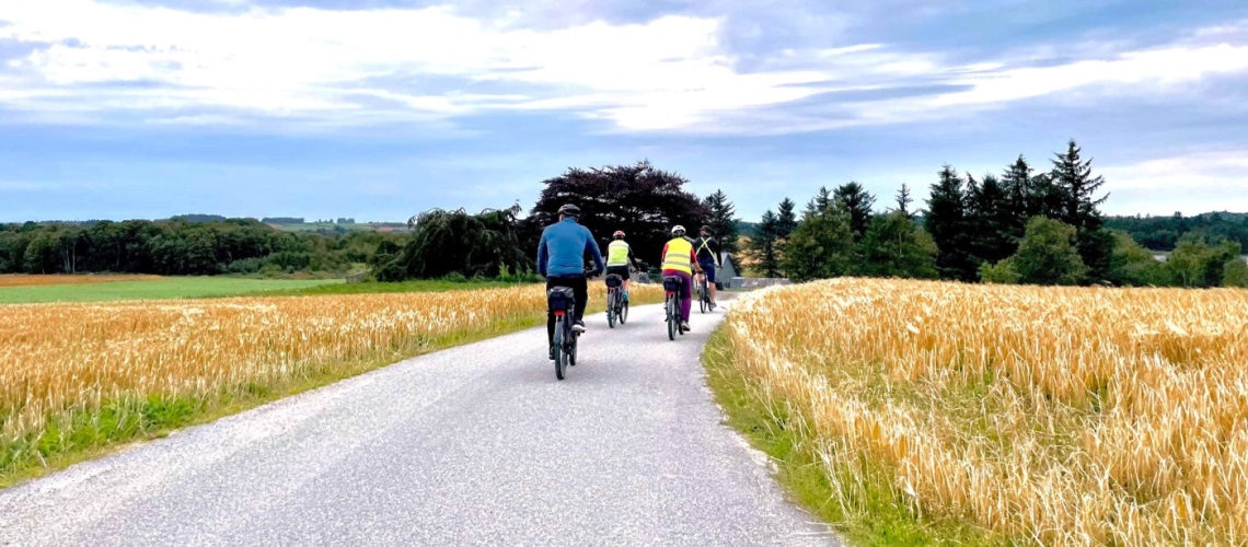 Fire personar på sykkeltur